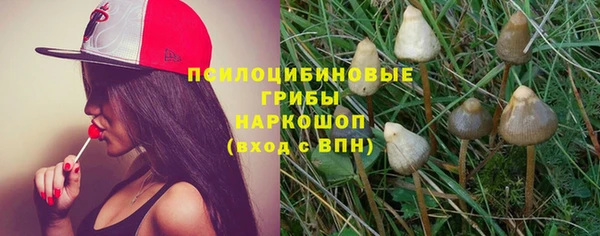 молекула духа Баксан
