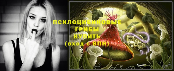 молекула духа Баксан